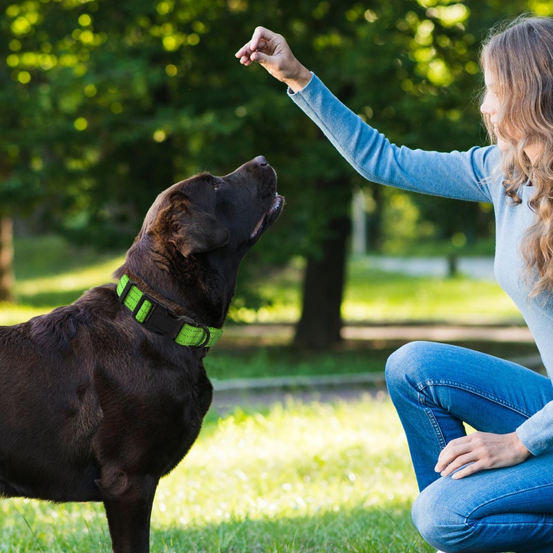 Mile High Life Night Reflective Double Adjustable Band Nylon Small Puppy Pet Dog Combo Collar Leash and Harness Set (Reflective Solid Lime Green, Large (Pack of 3)) - Image 4